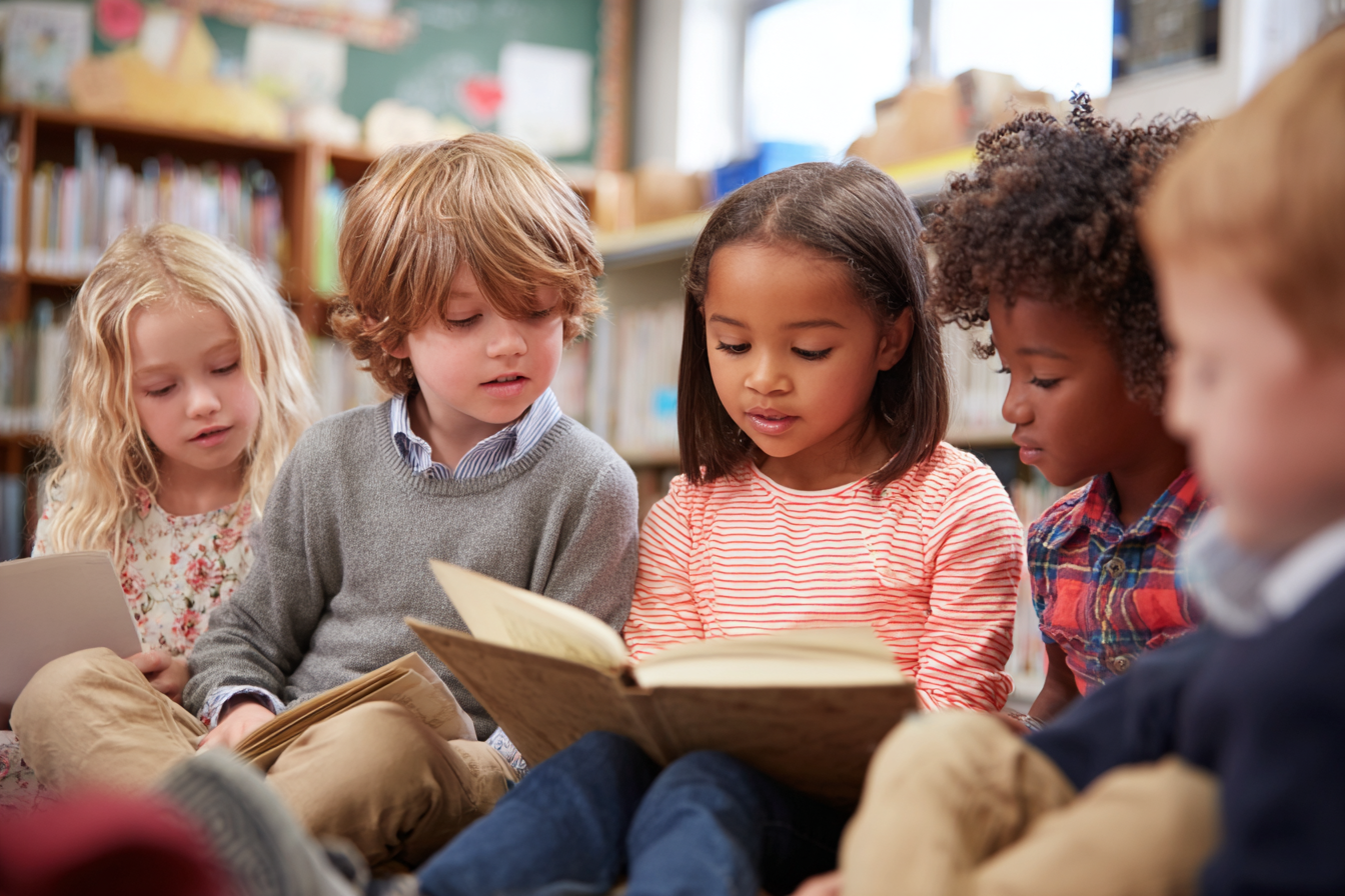 Unit Plan 11 (Grade 2 ELA): Reasons that Support Points