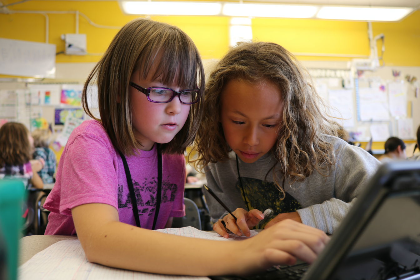 Unit Plan 20 (Grade 4 Social Studies): Branches of Government