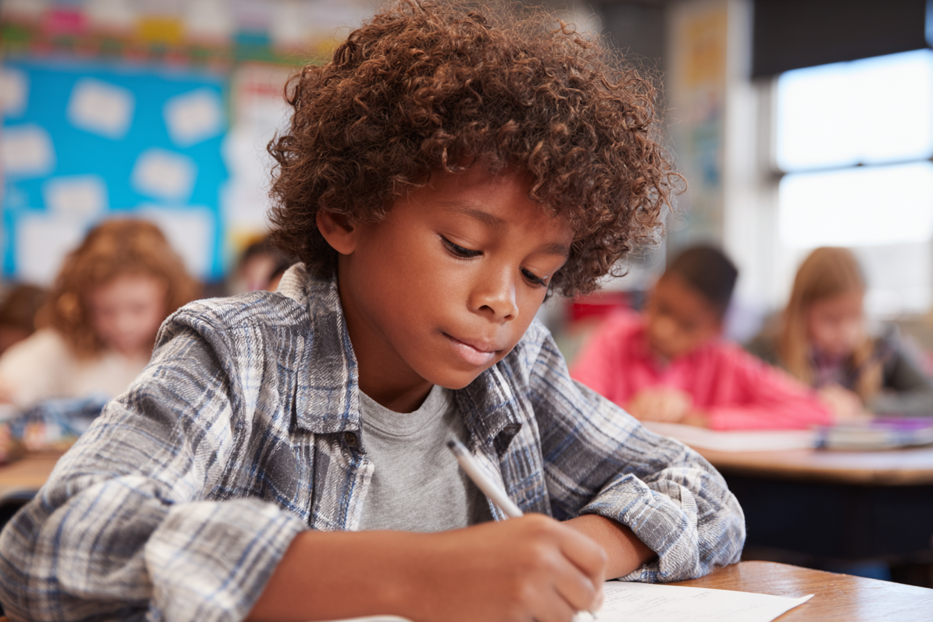 Unit Plan 22 (Grade 4 Science): Brain Processing & Response