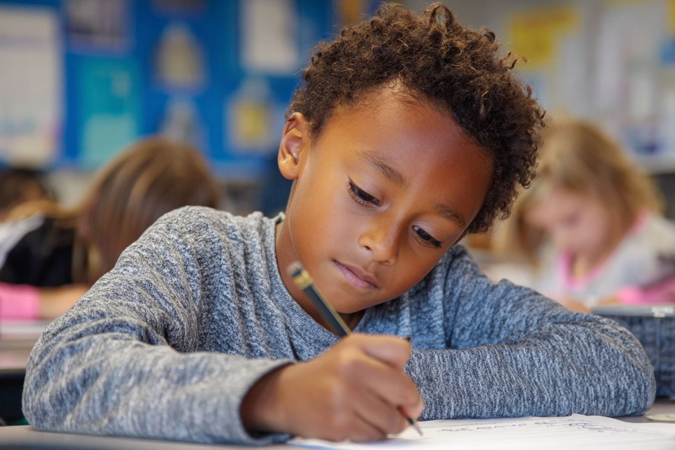 Unit Plan 18 (Grade 2 Science): Life Science — Quarter Synthesis