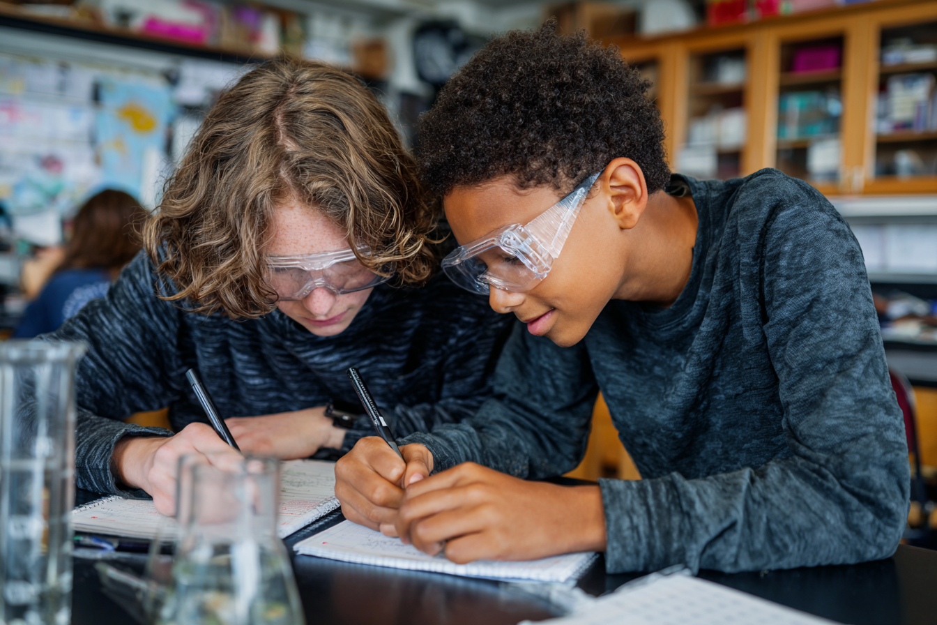 Unit Plan 12 (Grade 7 Science): Food Webs & Energy Flow