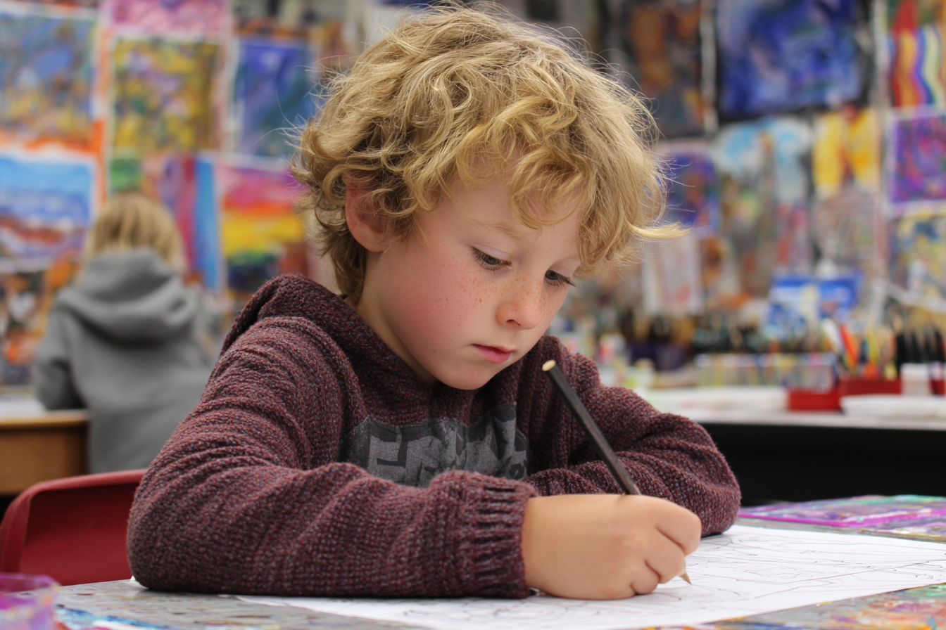 Unit Plan 4 (Grade 2 Art): Lines & Shapes in Action