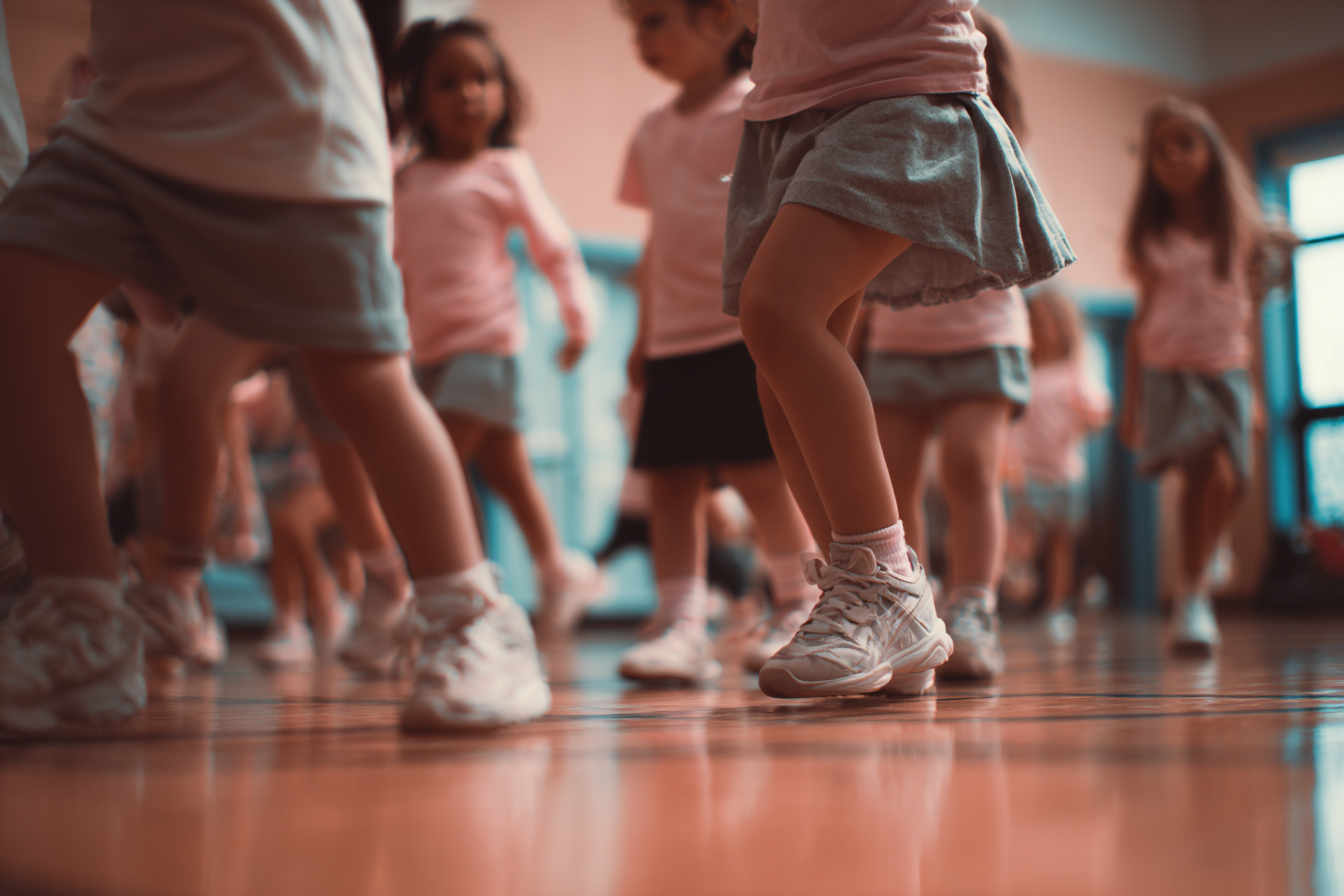 Unit Plan 18 (Grade K PE): Ball Skills Day