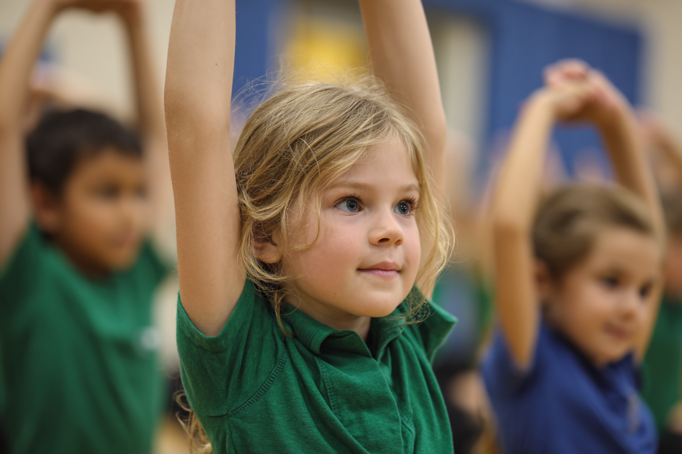 Unit Plan 31 (Grade 1 PE): Cooperative Castle Builders