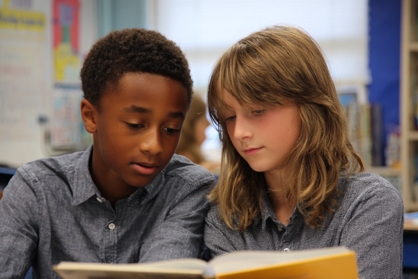 Unit Plan 33 (Grade 6 ELA): Summarizing & Synthesizing Information