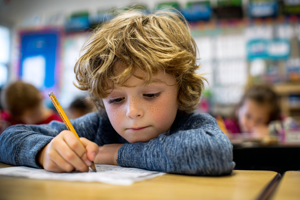 Unit Plan 28 (Grade 2 Social Studies): Needs and Wants