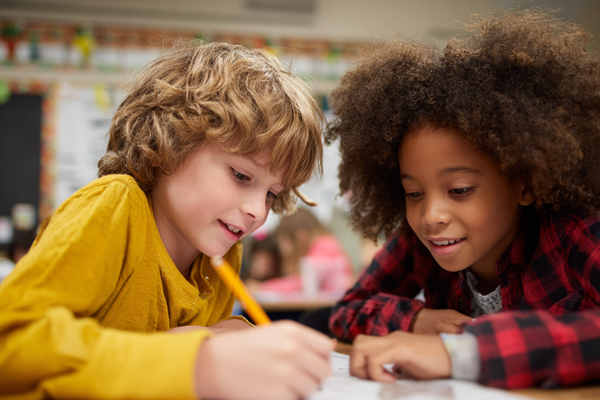 Unit Plan 12 (Grade 2 Social Studies): Our Town and Its Features