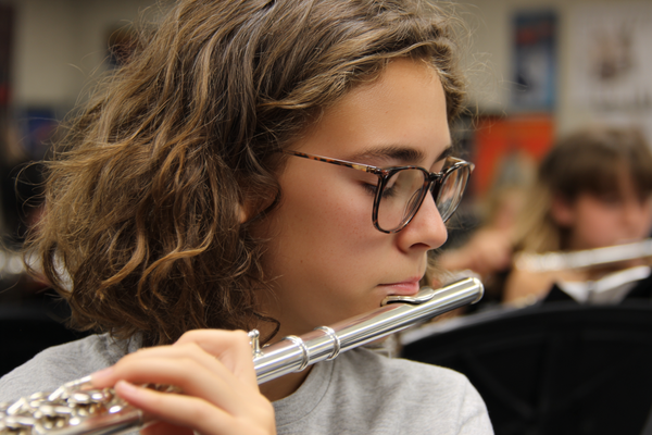 Unit Plan 19 (Grade 7 Band): Musical Form & Meaning