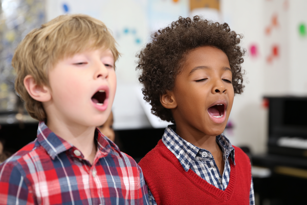 Unit Plan 11 (Grade K Music): Instrument Sounds