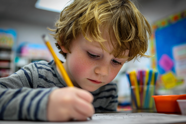 Unit Plan 9 (Grade 1 Art): Reflect on My Artwork