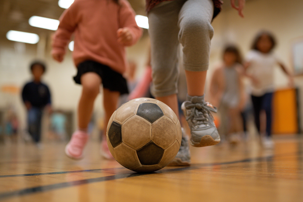 Unit Plan 24 (Grade 1 PE): Small Group Teamwork